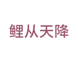 鲤从天降 第28类体育玩具商标图样