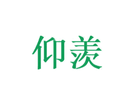 仰羡 第27类地毯席垫商标图样