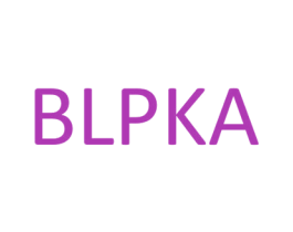 BLPKA 第25类服装鞋帽商标图样