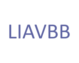 LIAVBB 第25类服装鞋帽商标图样