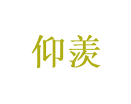 仰羡 第9类科学仪器商标图样