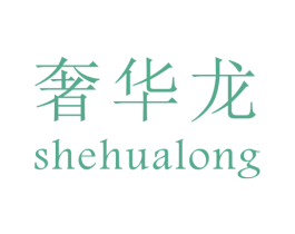 奢华龙 第9类科学仪器商标图样