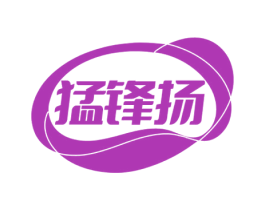 猛锋扬 第9类科学仪器商标图样