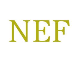 NEF 第6类五金金属商标图样