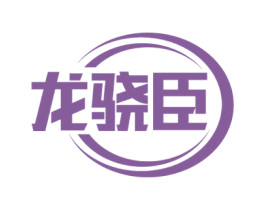 龙骁臣 第6类五金金属商标图样