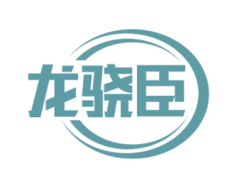 龙骁臣 第42类技术服务商标图样