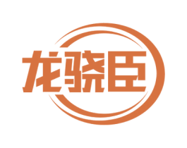 龙骁臣 第25类服装鞋帽商标图样