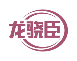 龙骁臣 第17类橡胶制品商标图样