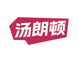 汤朗顿 第18类皮革箱包商标图样