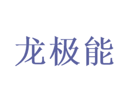 龙极能 第20类家具商标图样