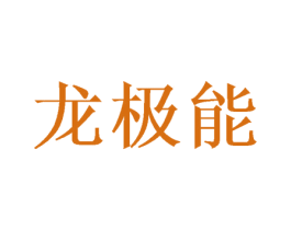 龙极能 第18类皮革箱包商标图样