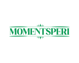 MOMENTSPERI 第18类皮革箱包商标图样