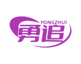 勇追 第28类体育玩具商标图样