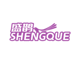 盛鹊 第10类医疗器械商标图样