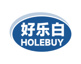 好乐白 HOLEBUY 第10类医疗器械商标图样