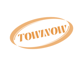 TOWINOW 第9类科学仪器商标图样