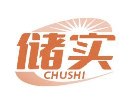 储实 第9类科学仪器商标图样