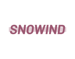 SNOWIND 第3类化妆品商标图样