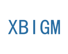 XBIGM 第21类厨房洁具商标图样