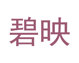 碧映 第21类厨房洁具商标图样