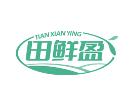 田鲜盈 第35类广告贸易商标图样