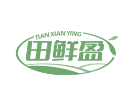 田鲜盈 第30类小食配料商标图样