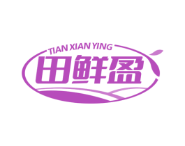 田鲜盈 第29类食品商标图样