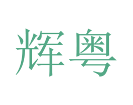辉粤 第12类运输工具商标图样