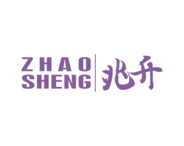 兆升 第9类科学仪器商标图样