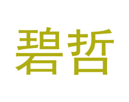 碧哲 第12类运输工具商标图样