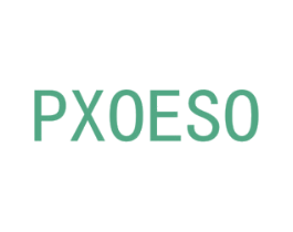 PXOESO 第12类运输工具商标图样