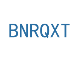 BNRQXT 第11类家用电器商标图样
