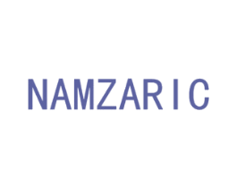 NAMZARIC 第5类医药商标图样