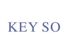 KEY SO 第29类食品商标图样