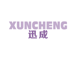 迅成 第9类科学仪器商标图样