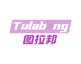 图拉邦 第9类科学仪器商标图样