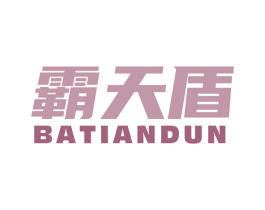霸天盾 第9类科学仪器商标图样