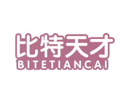 比特天才 第41类教育娱乐商标图样