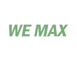 WE MAX 第2类颜料油漆商标图样