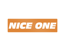 NICE ONE 第27类地毯席垫商标图样