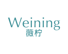 薇柠 第25类服装鞋帽商标图样