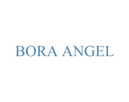 BORA ANGEL 第25类服装鞋帽商标图样