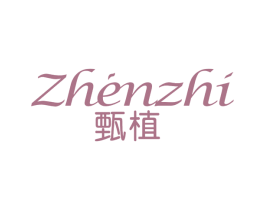 甄植 第16类办公工具商标图样