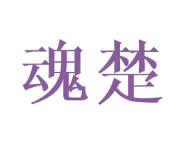 魂楚 第20类家具商标图样