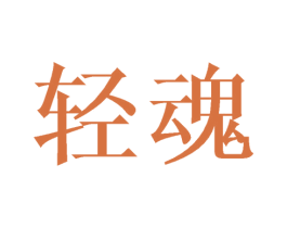 轻魂 第20类家具商标图样