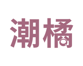 潮橘 第9类科学仪器商标图样