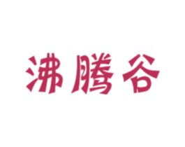 沸腾谷 第43类餐饮酒店商标图样
