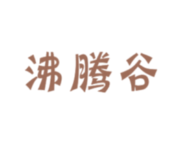 沸腾谷 第41类教育娱乐商标图样