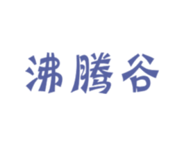 沸腾谷 第29类食品商标图样