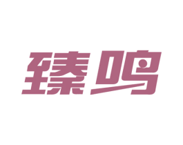 臻鸣 第11类家用电器商标图样